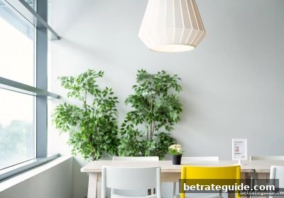 博彩公司信誉评级视角：支付宝充值真人游戏每日返水全攻略