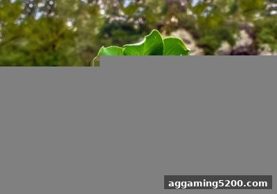 百家乐规则与概率深度剖析：博彩公司信誉评级助您理性娱乐