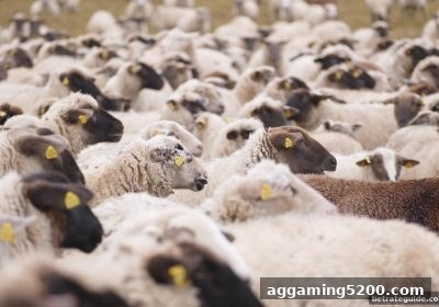 足球直播观赛终极指南：博彩公司信誉评级解析，助你玩转188金宝博